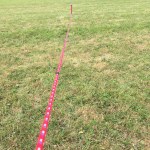 field tracing (making)&nbsp;1