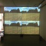 Field Tracing (video)2